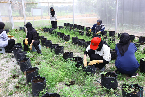 Agro@UPM dedahkan Staf Baharu kepada Teknologi Pertanian Moden